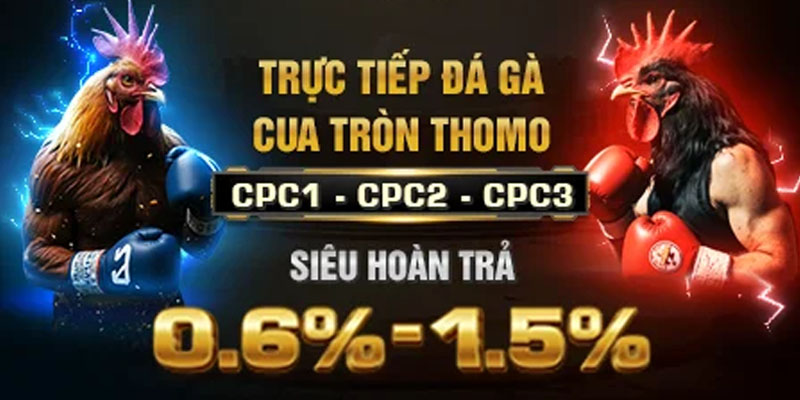 Trận đá gà trực tuyến kịch tính tại nhà cái HB88
