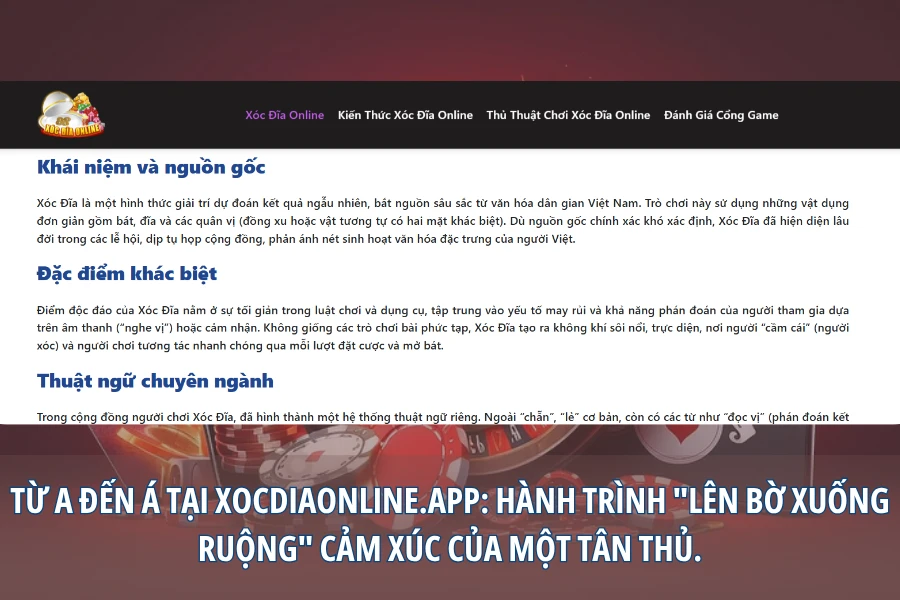 Điểm Xuất Phát "A": Một Tân Thủ Bơ Vơ Giữa Mê Cung Game Xóc Đĩa Đổi Thưởng