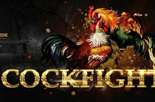  Giao diện xem odds và cược đá gà trực tiếp SV88.