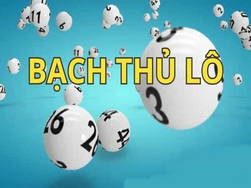 Cách nuôi bạch thủ lô tại HB88 để tăng xác suất trúng