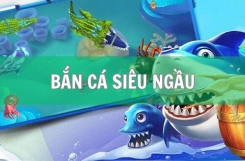  Lựa chọn súng phù hợp là chìa khóa để săn cá hiệu quả.
