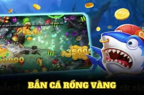 Tận dụng thời điểm cá rồng vàng xuất hiện để tấn công