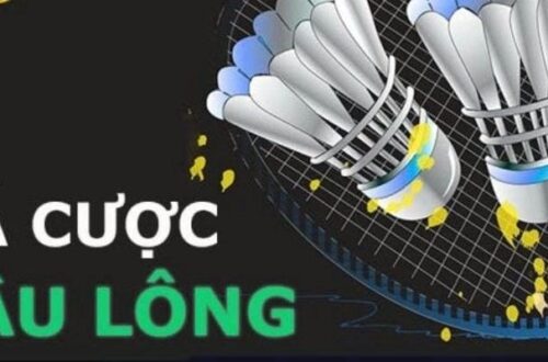 Những điều bạn chưa biết về cá cược cầu lông tại VuaClub