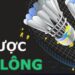 Những điều bạn chưa biết về cá cược cầu lông tại VuaClub