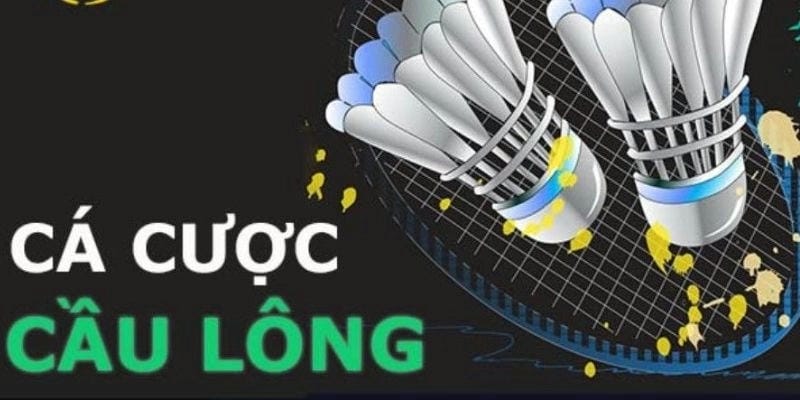 Những điều bạn chưa biết về cá cược cầu lông tại VuaClub