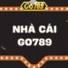 Giấy phép và chính sách bảo mật của GO789