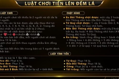 V999 - Đội Ngũ Hỗ Trợ Khách Hàng 24/7
