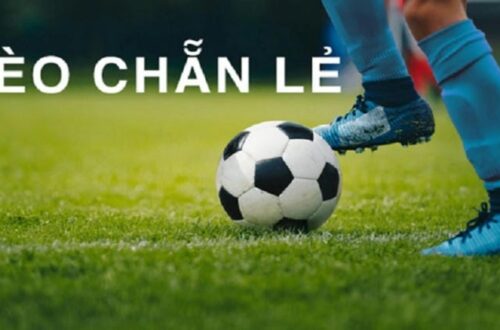 Bí Quyết Thắng Kèo Chẵn Lẻ Hiệu Quả