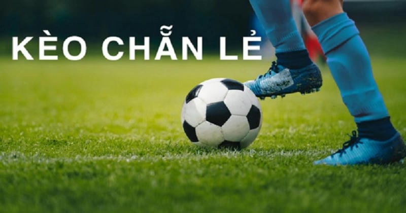 Bí Quyết Thắng Kèo Chẵn Lẻ Hiệu Quả