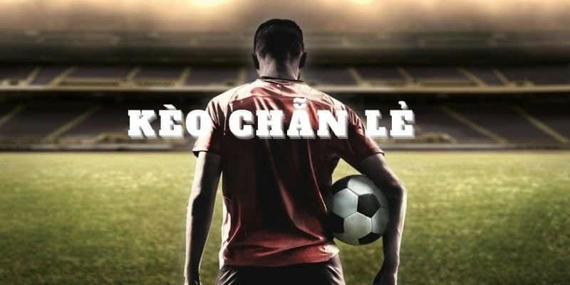 Vì Sao Nên Chọn HB88 Cho Kèo Chẵn Lẻ?