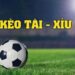 Kèo tài xỉu là gì? Tại sao dân chơi chọn kèo này?