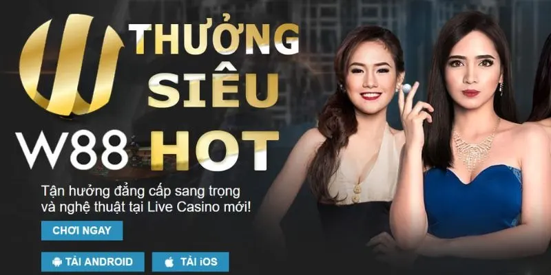 Bí kíp cá cược thông minh với ưu đãi từ nhà cái W88