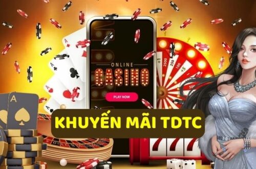 Các tình huống lỗi và cách TDTC xử lý