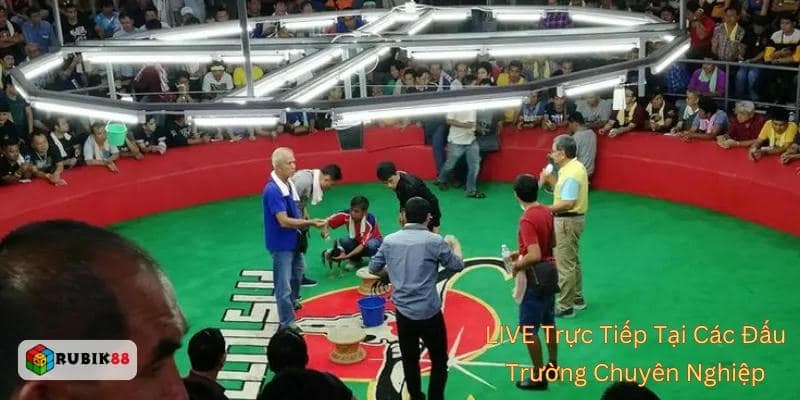Lợi ích vượt trội khi truy cập Rubik88 qua link chính thống