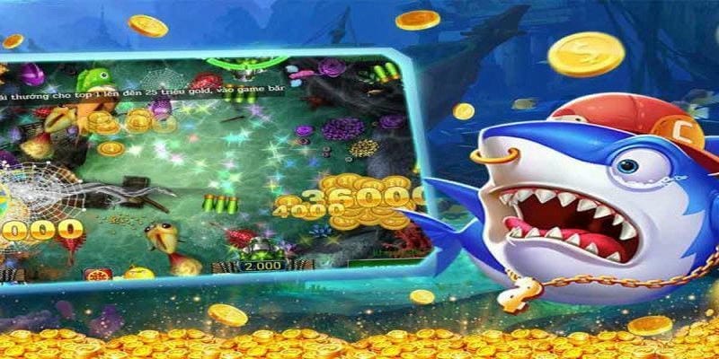 Chiến thuật săn cá hiệu quả tại 8day cho người mới