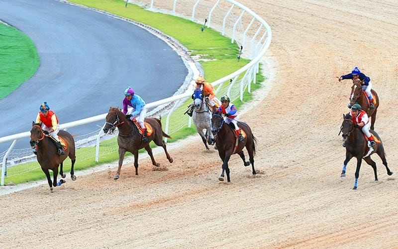 Cá cược đua ngựa 999bet có gì khiến bạn không rời mắt?