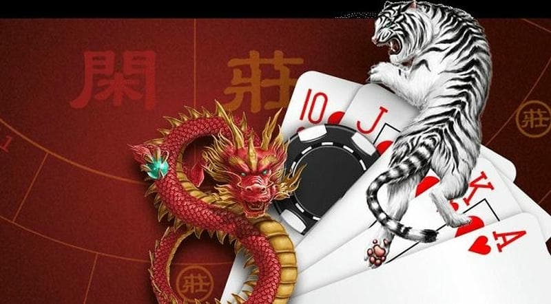 Tại sao rồng hổ tại OK9 thu hút người chơi đến vậy?