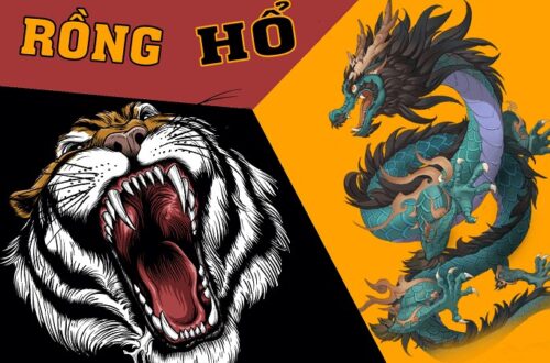 Chiến thuật chơi rồng hổ tại OK9 không phải ai cũng biết