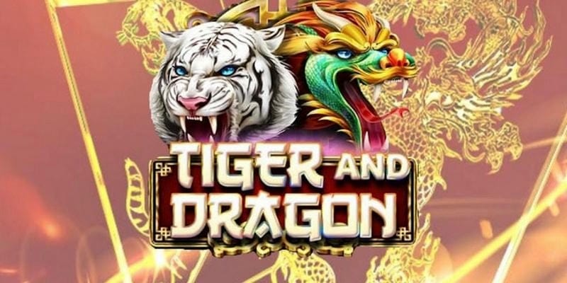 Trải nghiệm như thật với hệ thống cược đa chiều