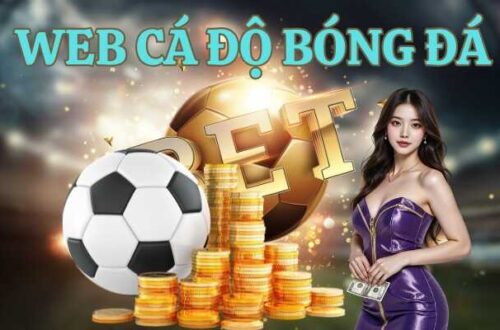 Top Web Cá Độ Bóng Đá Uy Tín Số 1 Và Đáng Trải Nghiệm Nhất