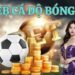 Top Web Cá Độ Bóng Đá Uy Tín Số 1 Và Đáng Trải Nghiệm Nhất
