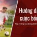  Biểu đồ biến động tỷ lệ kèo, gợi ý cách nhận biết kèo cược ngon.