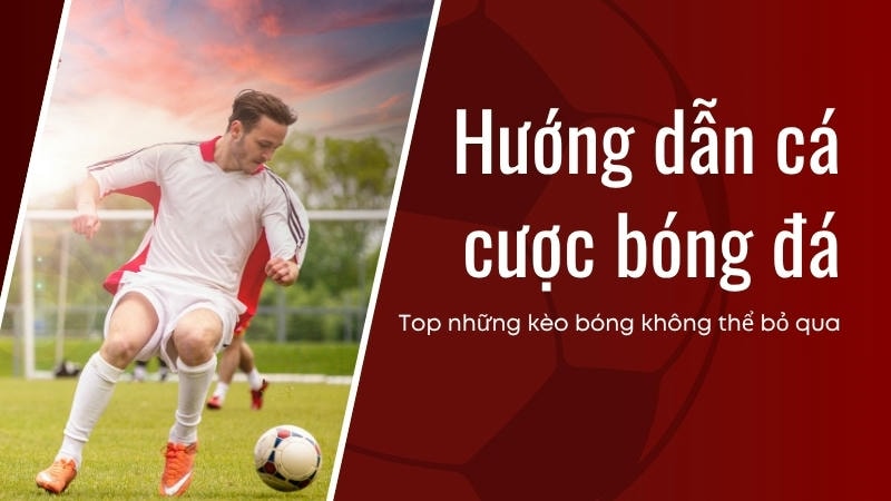 Biểu đồ biến động tỷ lệ kèo, gợi ý cách nhận biết kèo cược ngon.
