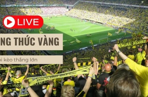  Cao thủ chia sẻ kinh nghiệm soi kèo tại nhà cái 789WIN.