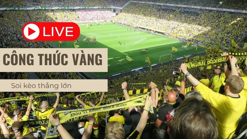 Cao thủ chia sẻ kinh nghiệm soi kèo tại nhà cái 789WIN.