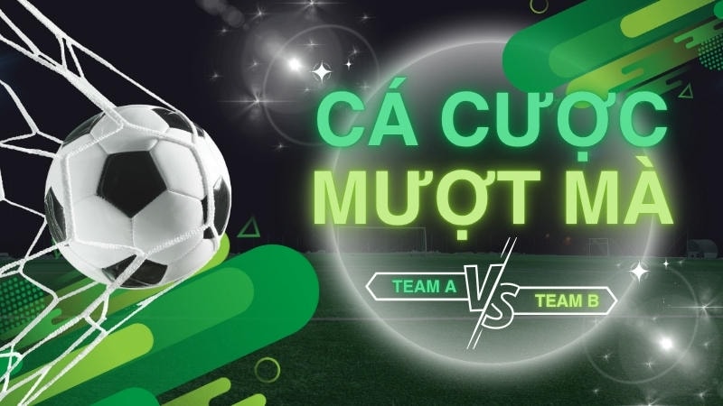 Theo dõi trận đấu live và cập nhật kèo tại thể thao FM88.