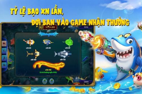  Nhận ưu đãi mỗi ngày khi chơi Bắn cá PG88 siêu hấp dẫn.