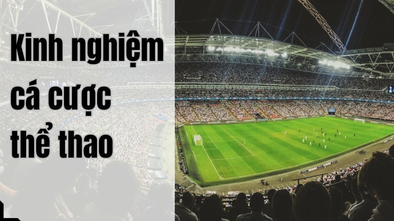 Bảng so sánh tỷ lệ bóng đá giúp bạn chọn kèo tối ưu.