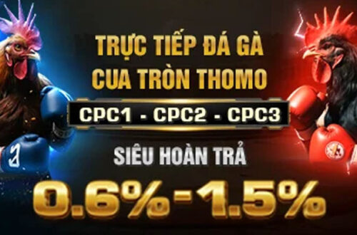  Giao diện đặt cược đá gà EE88 với tỷ lệ kèo rõ ràng.