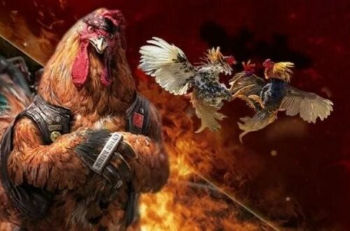 Sảnh đá gà ws168 tại 78win: Đỉnh cao giải trí cược thật