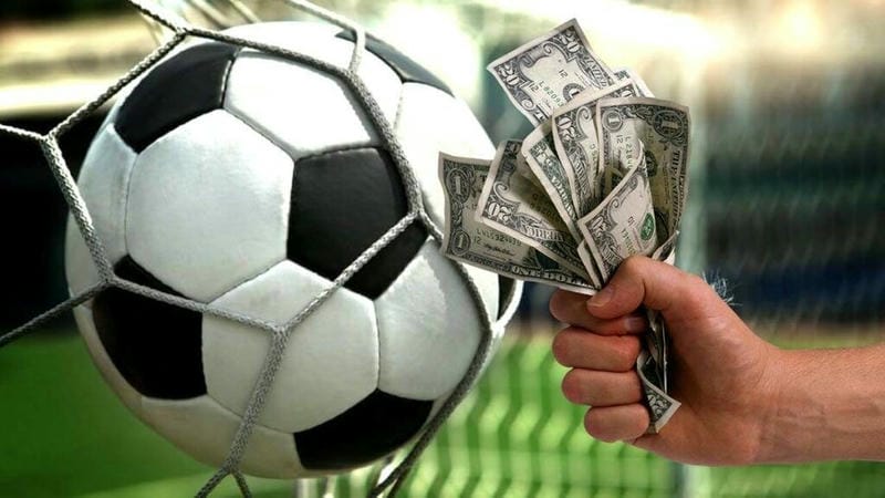 Lý Do Nhiều Người Chọn Cá Cược Tại Nhà Cái Betvisa