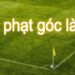 Kèo phạt góc là gì và vì sao nên soi kèo phạt góc