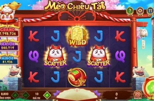 Khám phá bí mật mèo chiêu tài Bubet trong văn hóa
