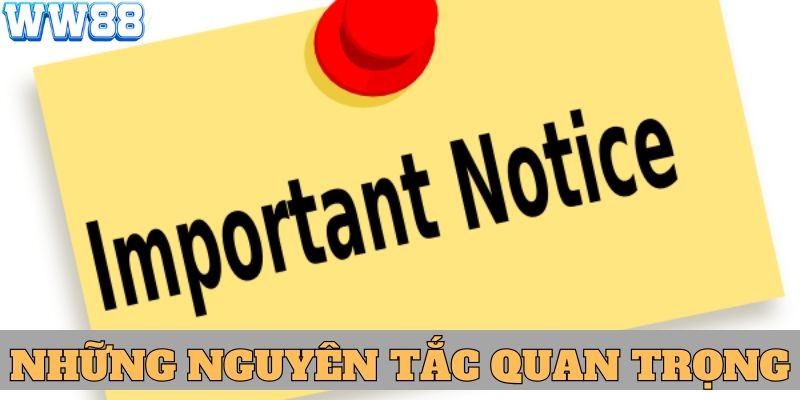 Hiểu rõ hơn về nhà cái ww88