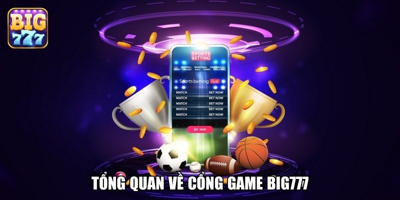 Minh Bạch Từ Luật Chơi – Không Đánh Đố Người Mới