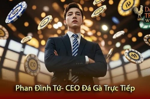  Hành trình của Phan Đình Tứ trong ngành cá cược online  