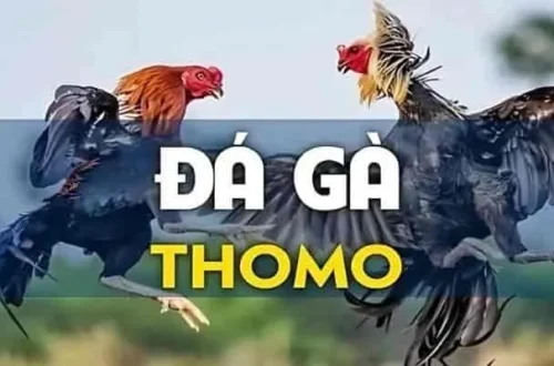 Những yếu tố làm nên trận đấu tiền tỷ