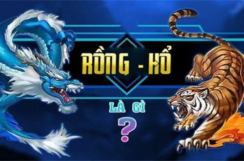  Cược một cửa ổn định tại nhà cái U888 để thắng đều.