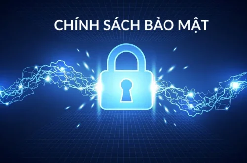 Lý do chính sách bảo mật là yếu tố sống còn