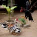 Cao thủ luôn chơi có trách nhiệm để thắng lâu dài.