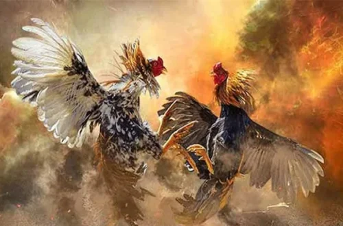  Báo cáo sới gà lừa đảo qua hỗ trợ U888 nhanh chóng