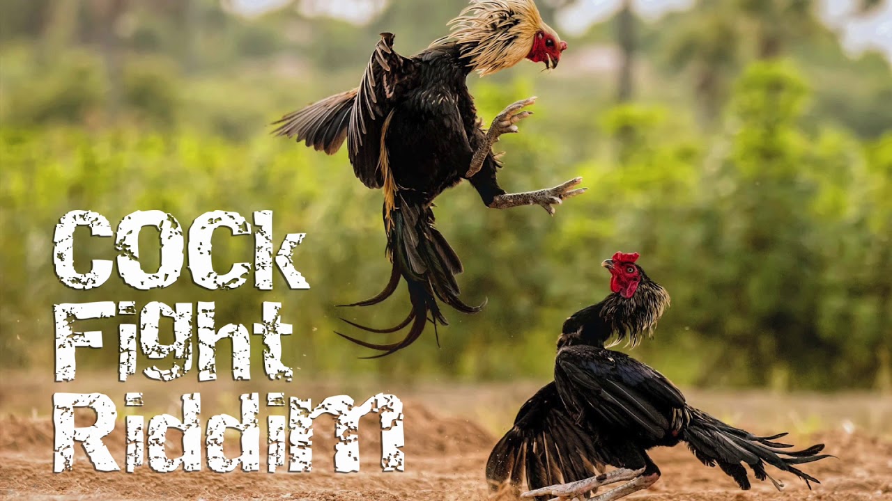 3 bước đăng ký đơn giản nhưng hay bị bỏ sót