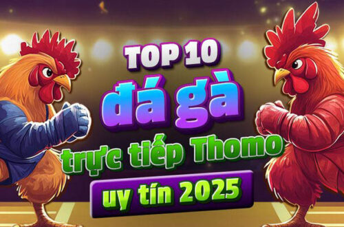  Thông báo lỗi thanh toán và hướng dẫn khắc phục.
