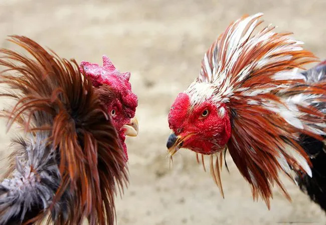 Các kênh liên hệ nào đáng tin cậy nhất?