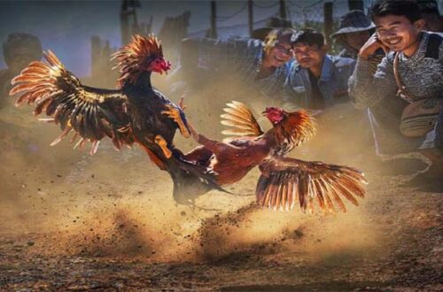 Vì sao cần cảnh giác với trận đấu có tín hiệu "lạ"?