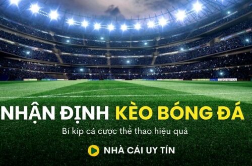 Sử dụng các chỉ số chuyên sâu để đưa ra quyết định cá cược thông minh hơn.